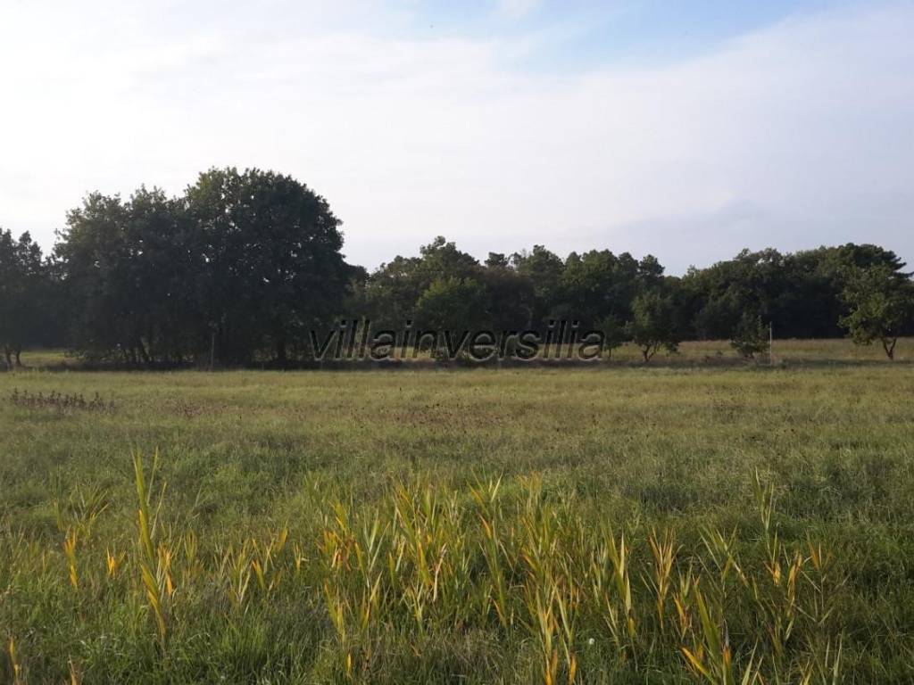 Terreno a Castiglione del lago - Foto 2