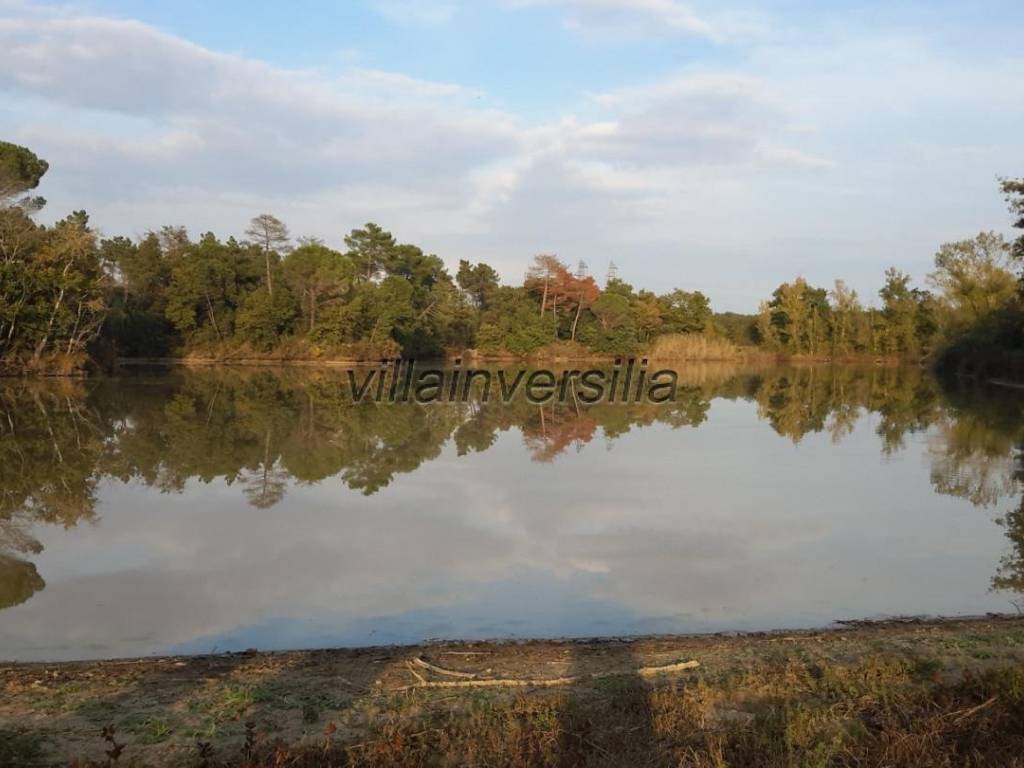 Terreno a Castiglione del lago - Foto 3
