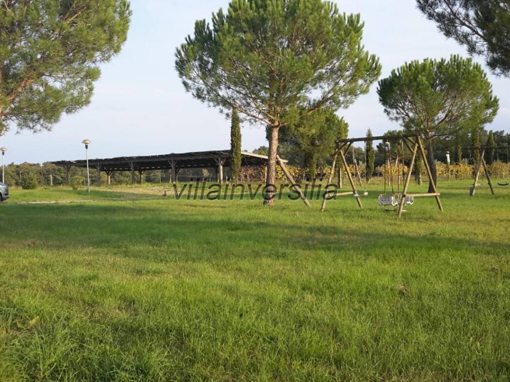 Terreno a Castiglione del lago - Foto 4