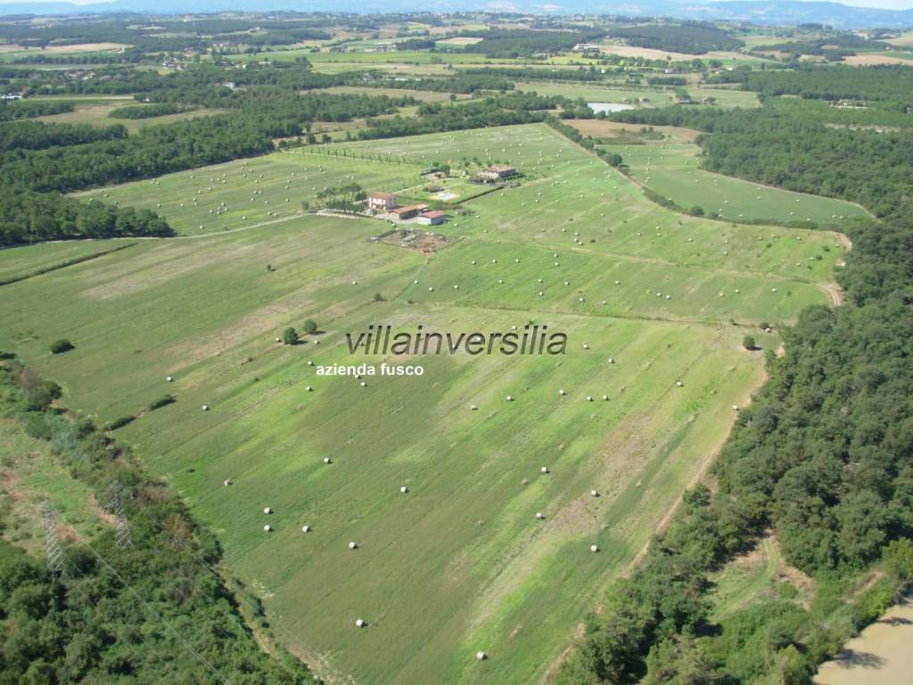 Terreno a Castiglione del lago - Foto 5