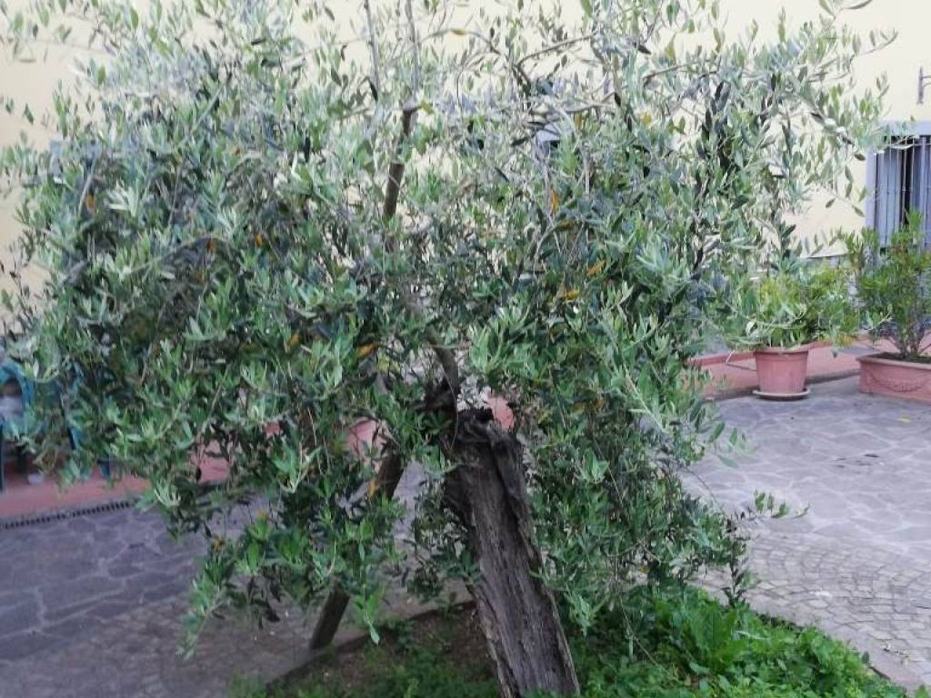 Villa a Prato in Via di Cerreto e Solano - Foto 4