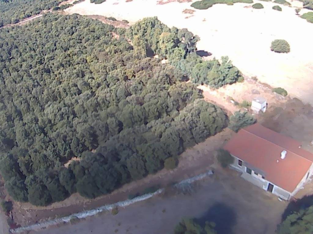 Rustico / casale a Cuglieri in SS292 - Foto 3