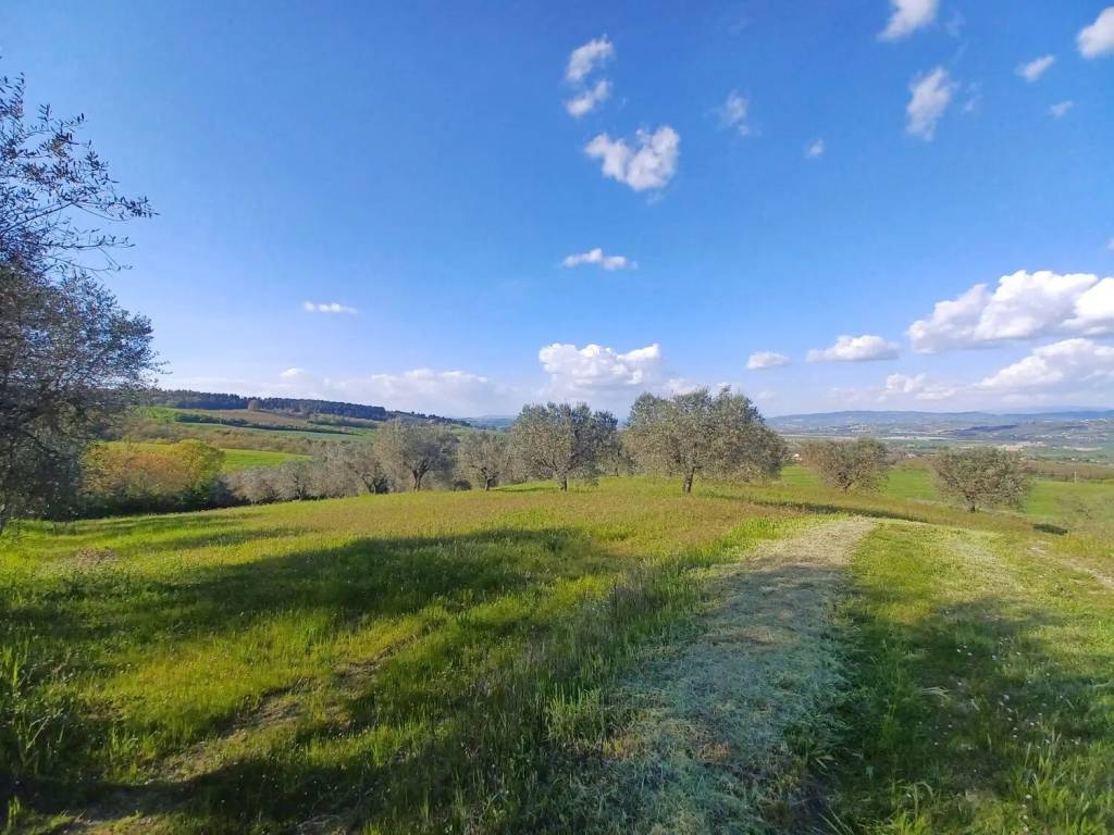 Terreno a Fratta todina in Via Macchiabella S.N.C. - Foto 2