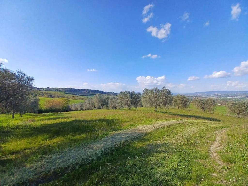 Terreno a Fratta todina in Via Macchiabella S.N.C. - Foto 3