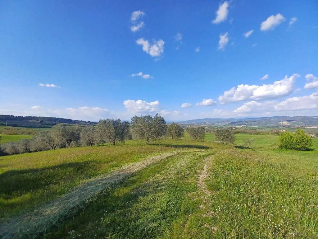 Terreno a Fratta todina in Via Macchiabella S.N.C. - Foto 4