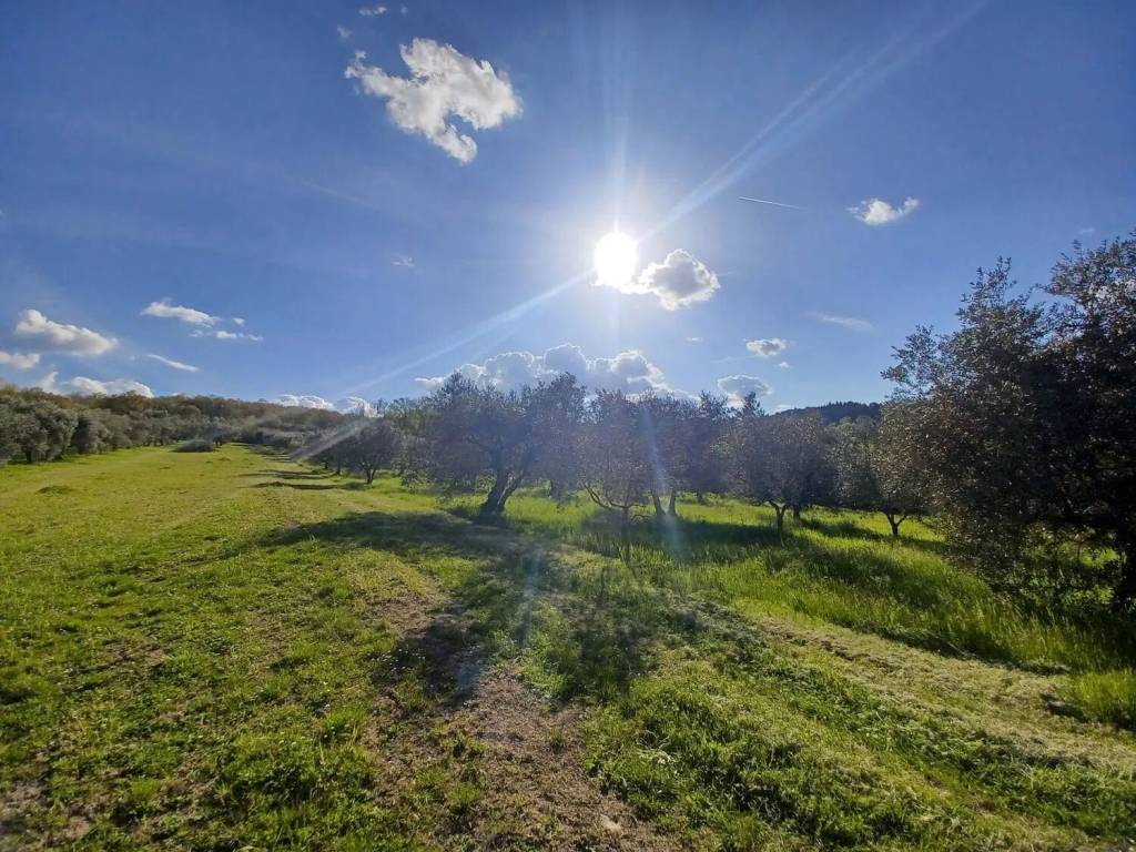 Terreno a Fratta todina in Via Macchiabella S.N.C. - Foto 5