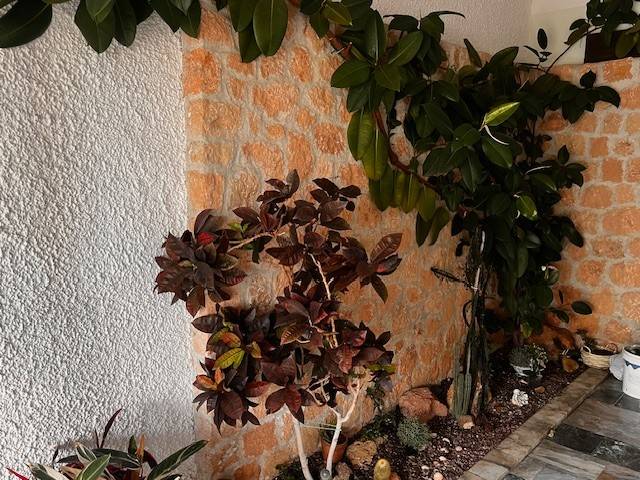 Attico / mansarda a Albenga in Via Piave, 134 - Foto 3