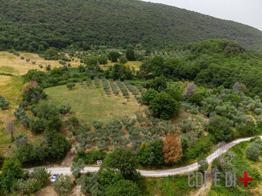 Rustico / casale a Toffia in Via Farense - Foto 5