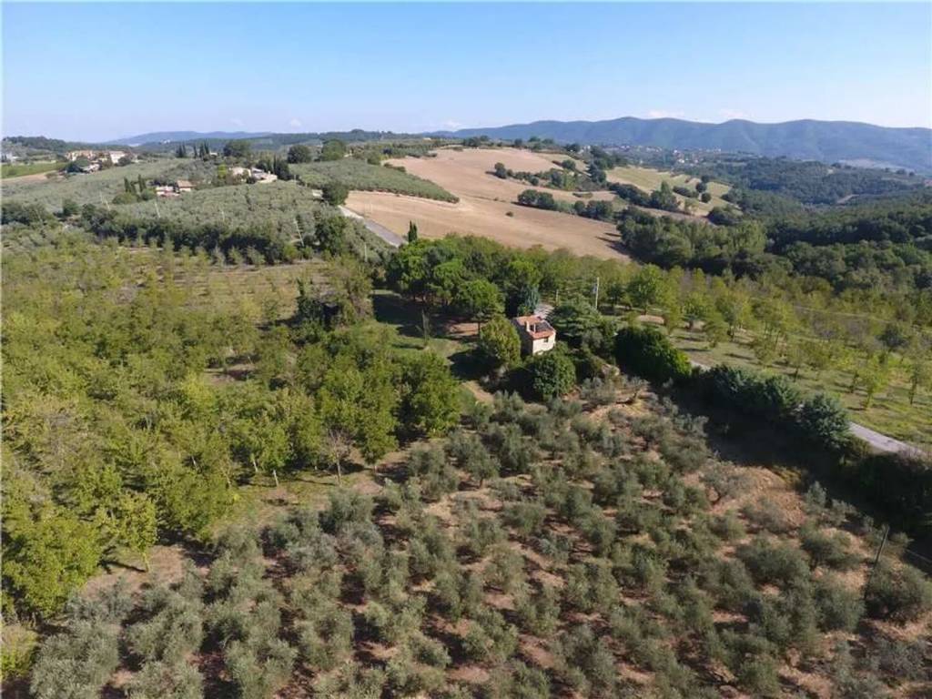 Rustico / casale a Gualdo cattaneo in Via Della Collina - Foto 4