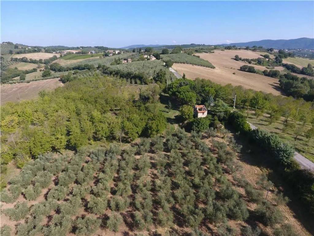 Rustico / casale a Gualdo cattaneo in Via Della Collina - Foto 5