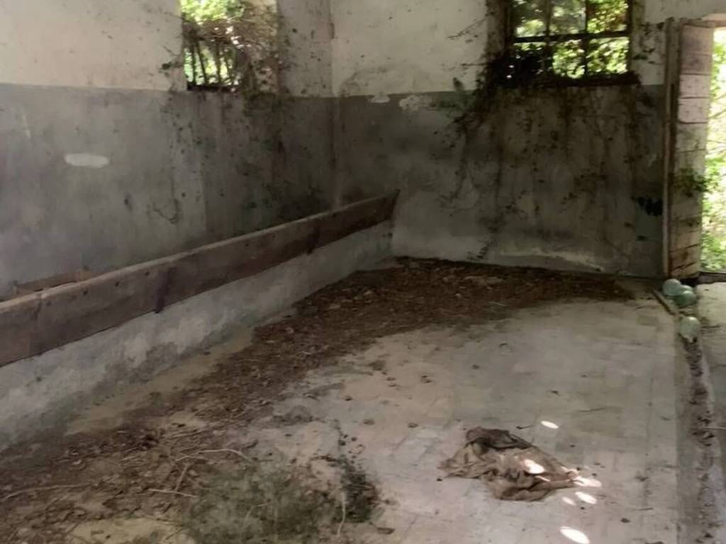 Rustico / casale a Gualdo cattaneo - Foto 5