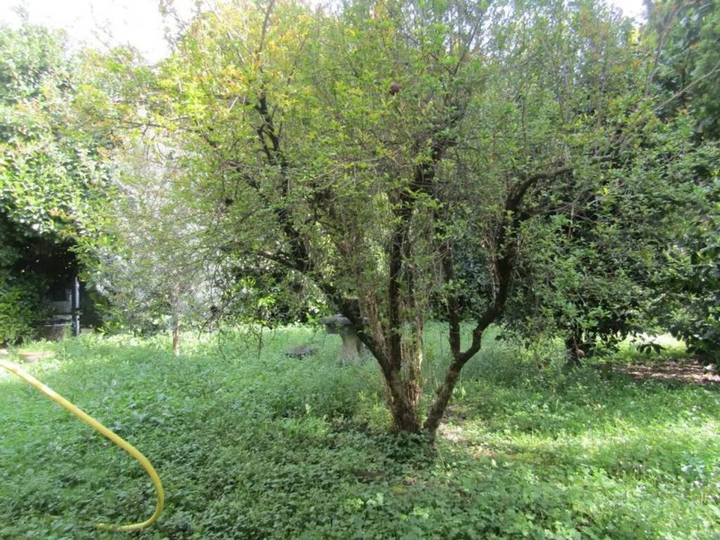 Villa a Monselice in Via Giacomo Matteotti - Foto 3