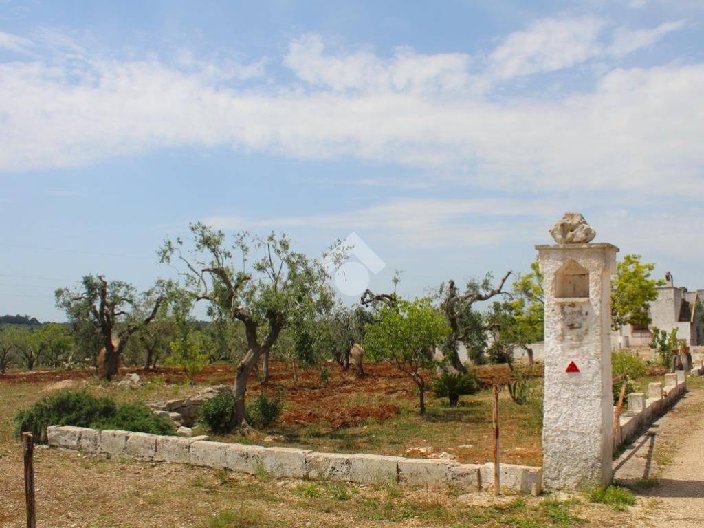 Rustico / casale a Carovigno in Contrada Belvedere - Foto 4