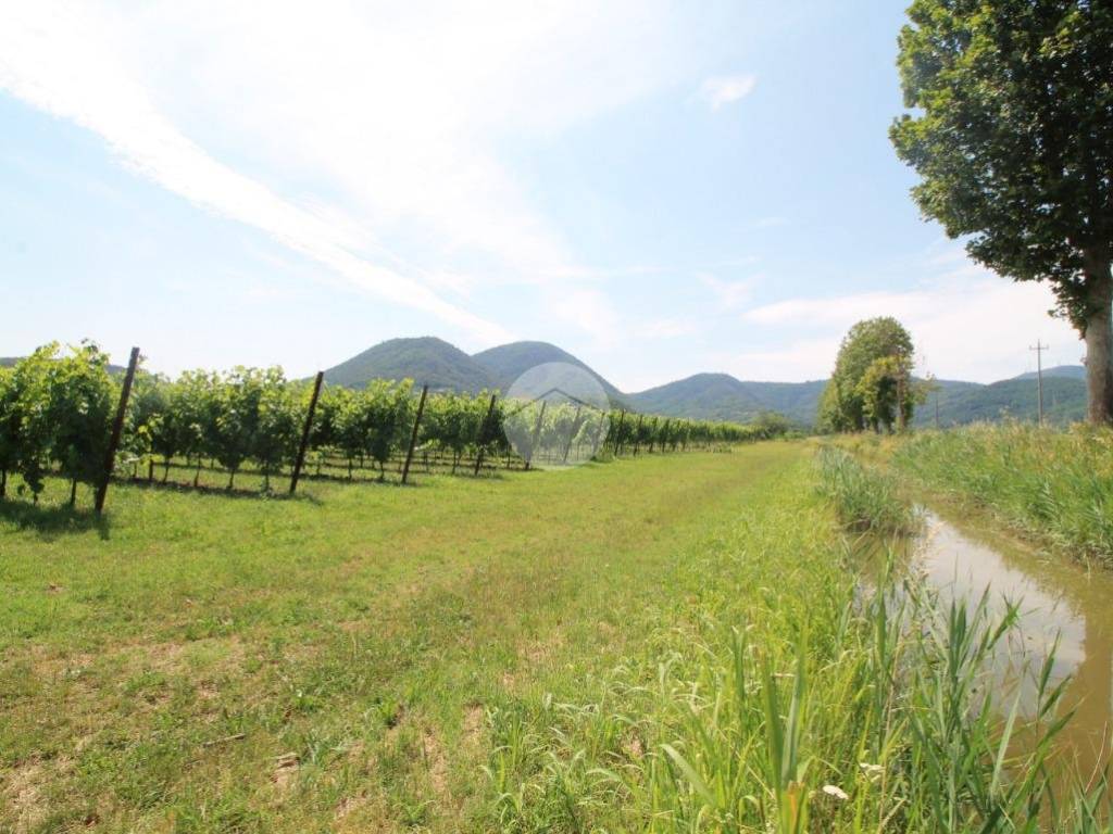 Terreno a Galzignano terme in Via Valli Valsanzibio - Foto 3