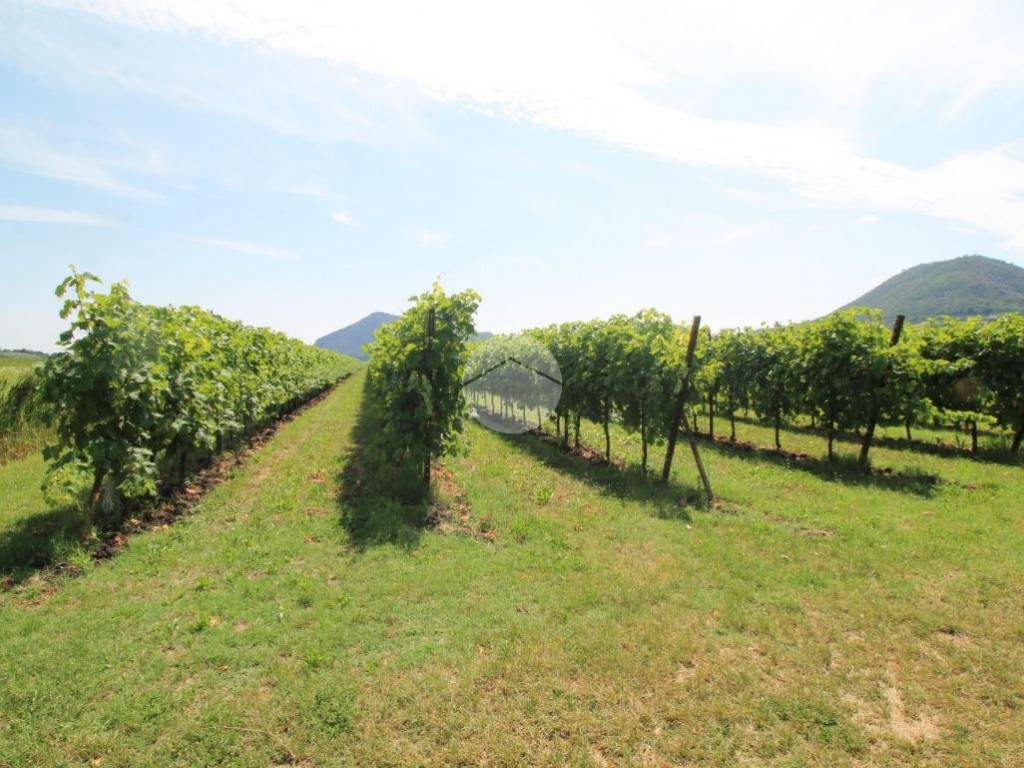 Terreno a Galzignano terme in Via Valli Valsanzibio - Foto 5