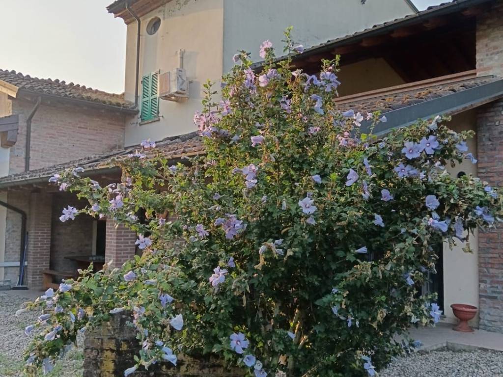 Rustico / casale a Piacenza - Foto 2