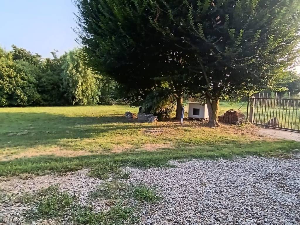 Rustico / casale a Piacenza - Foto 3