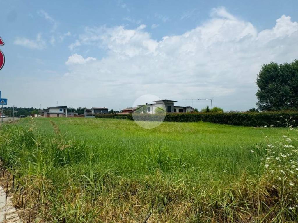 Terreno a Montechiarugolo in Via andrea borri, 1 - Foto 3