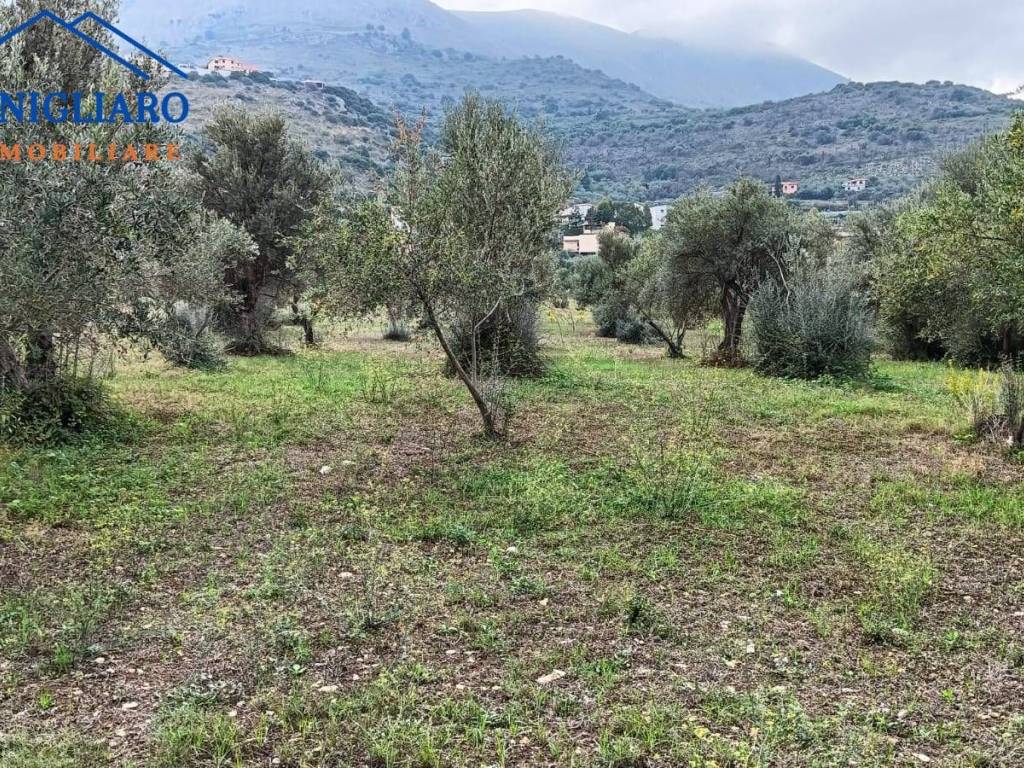 Terreno a Torretta in Via Pablo Neruda - Foto 4