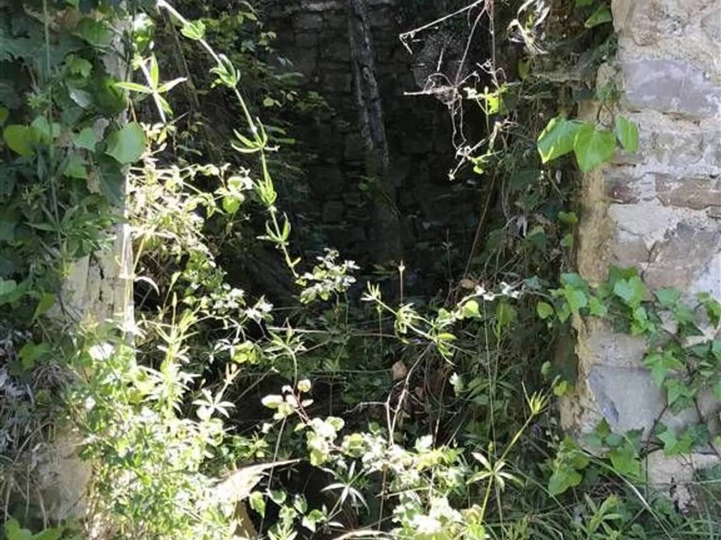Rustico / casale a Perinaldo - Foto 2