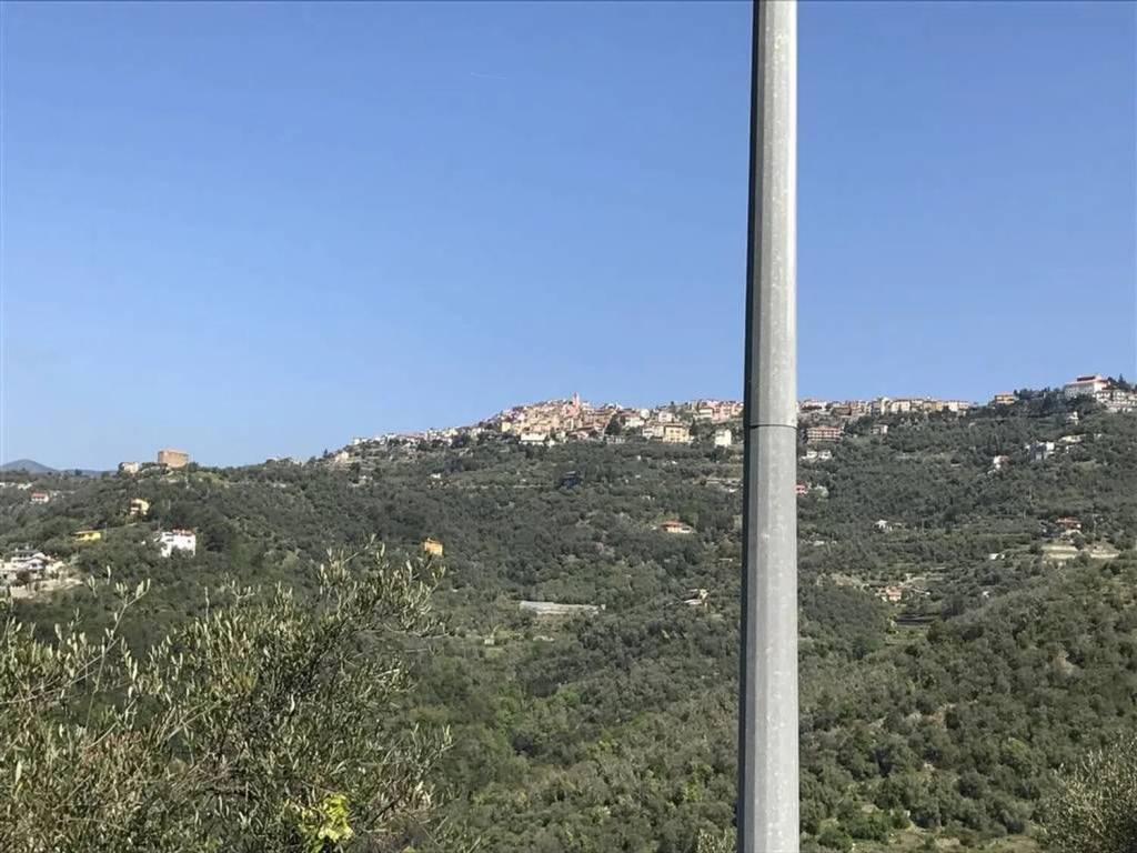 Rustico / casale a Perinaldo - Foto 3