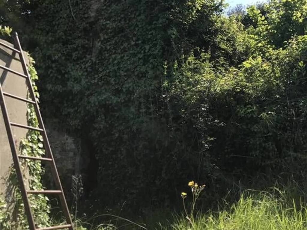 Rustico / casale a Perinaldo - Foto 4