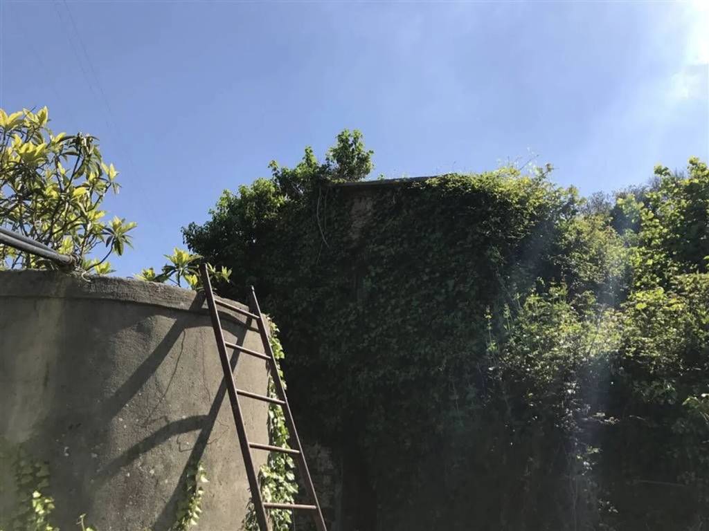 Rustico / casale a Perinaldo - Foto 5