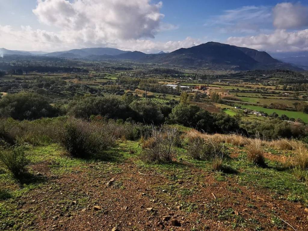Terreno a Lotzorai in Via Francesco Crispi - Foto 3