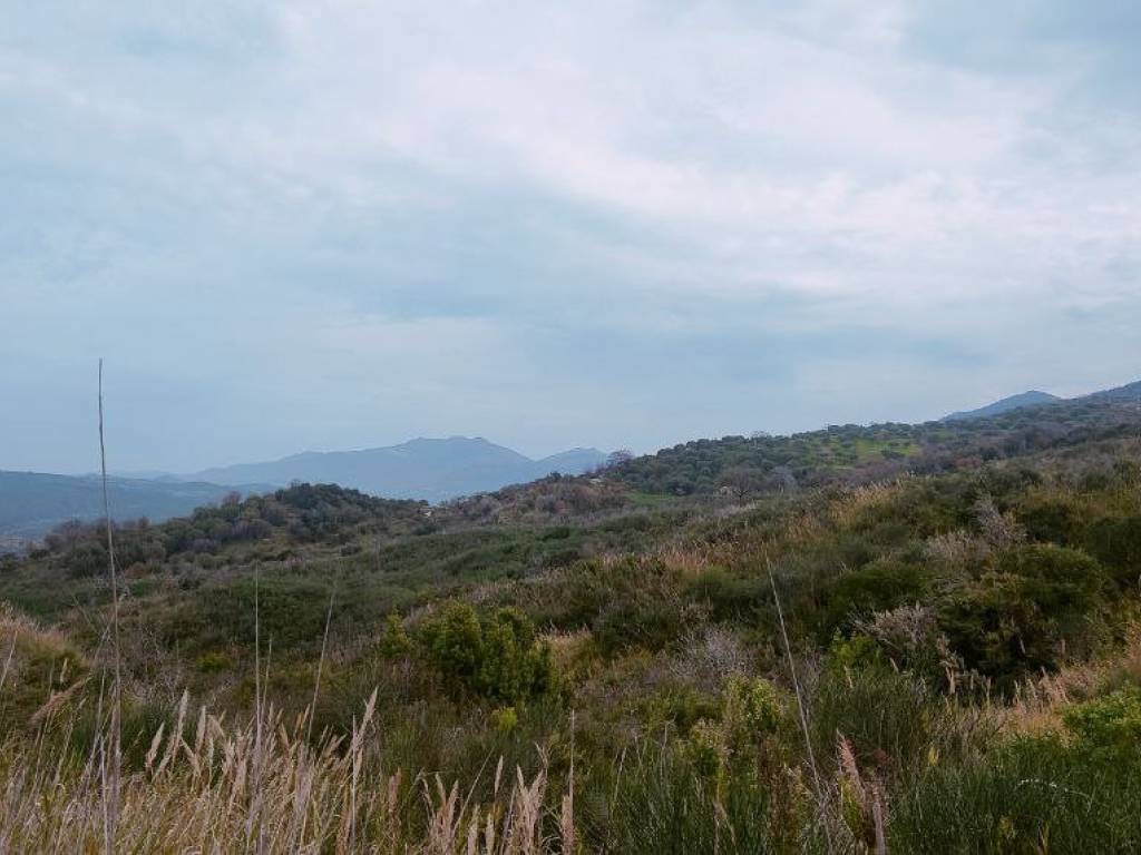 Terreno a Ascea in Via 24 Maggio, 118 - Foto 3