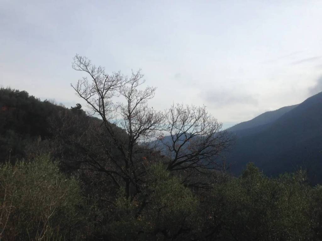 Terreno a Balestrino in Via Lucifredi - Foto 3