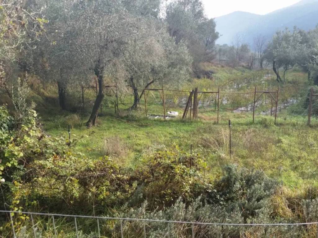 Terreno a Balestrino in Via Lucifredi - Foto 5