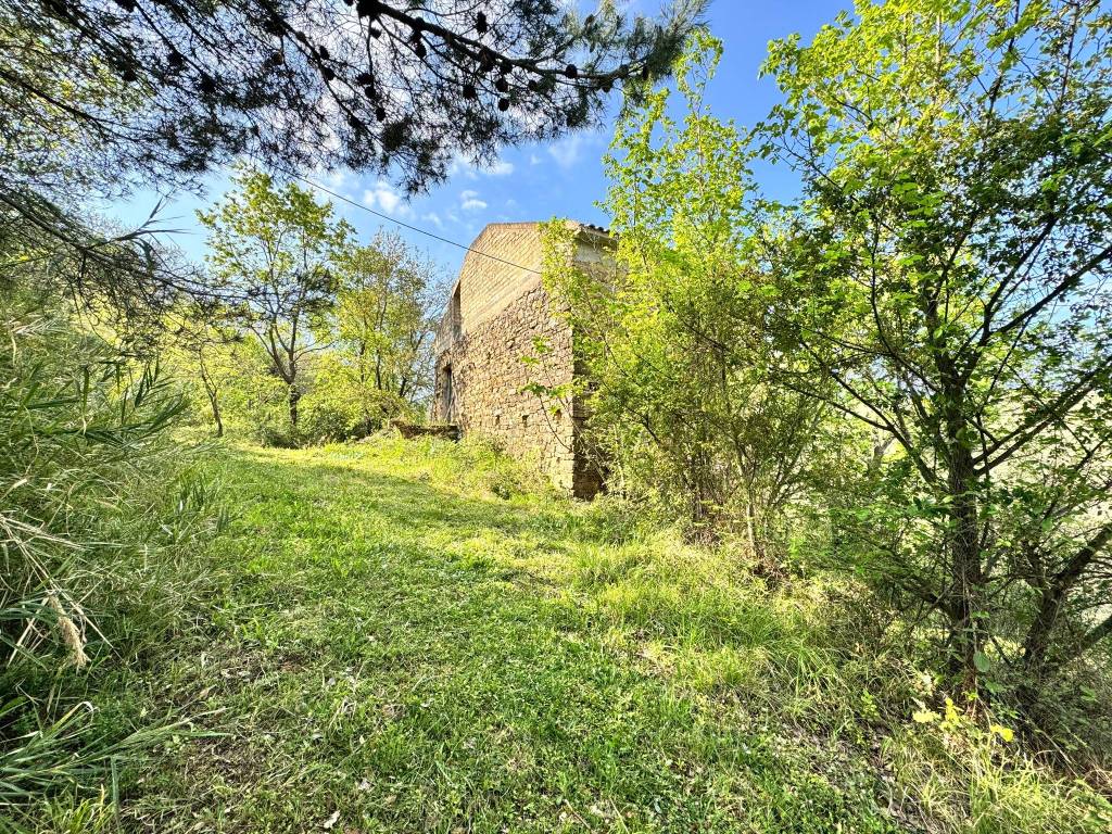 Rustico / casale a Cicerale - Foto 2