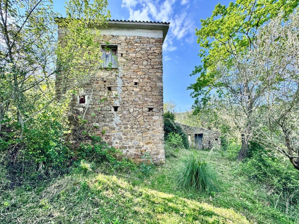 Rustico / casale a Cicerale - Foto 4