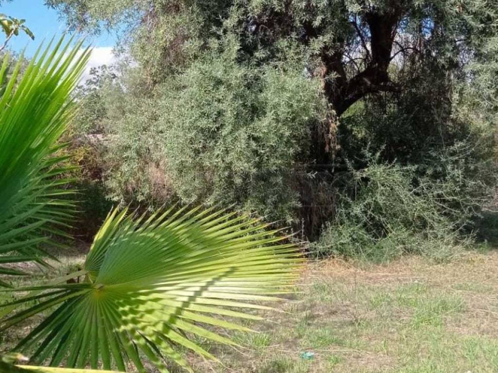 Terreno a Siracusa in Trav. San FRANCESCO - Foto 4