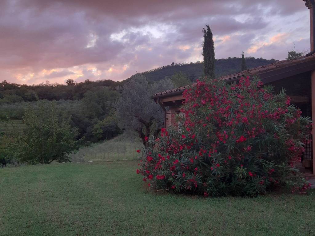 Rustico / casale a Baone - Foto 2