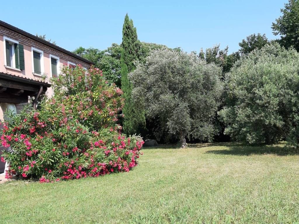 Rustico / casale a Baone - Foto 3