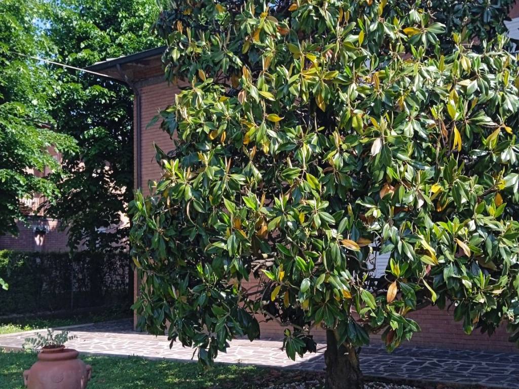 Appartamento a Castelnuovo rangone in Via Casette Zanasi - Foto 4