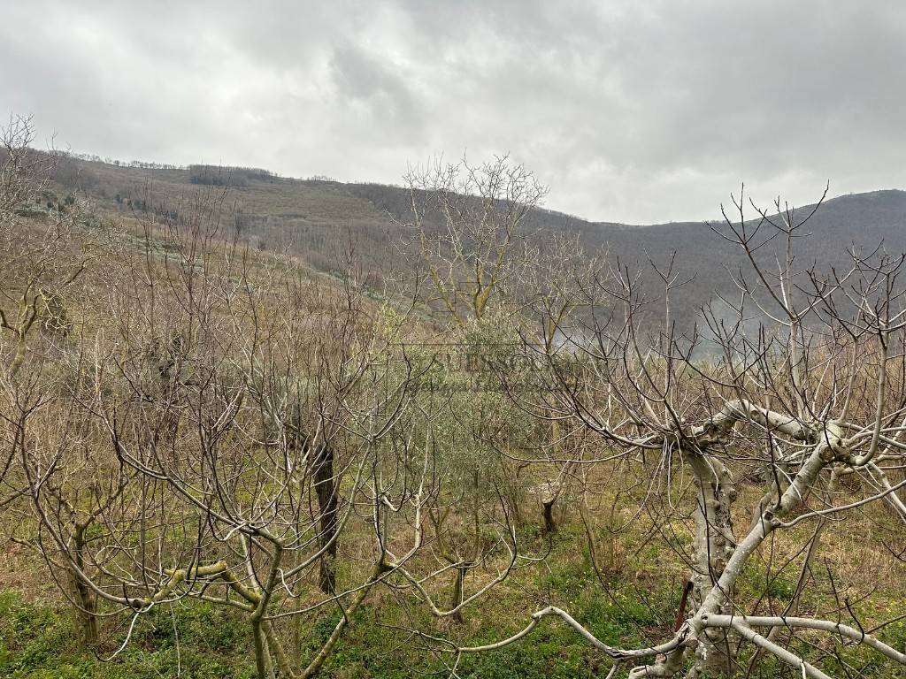 Terreno a San felice a cancello in Via Marcantonio De Rosa - Foto 4