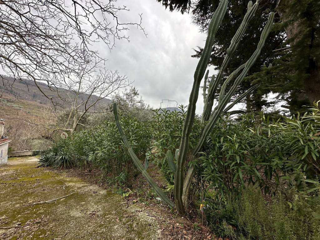 Terreno a San felice a cancello in Via Marcantonio De Rosa - Foto 5