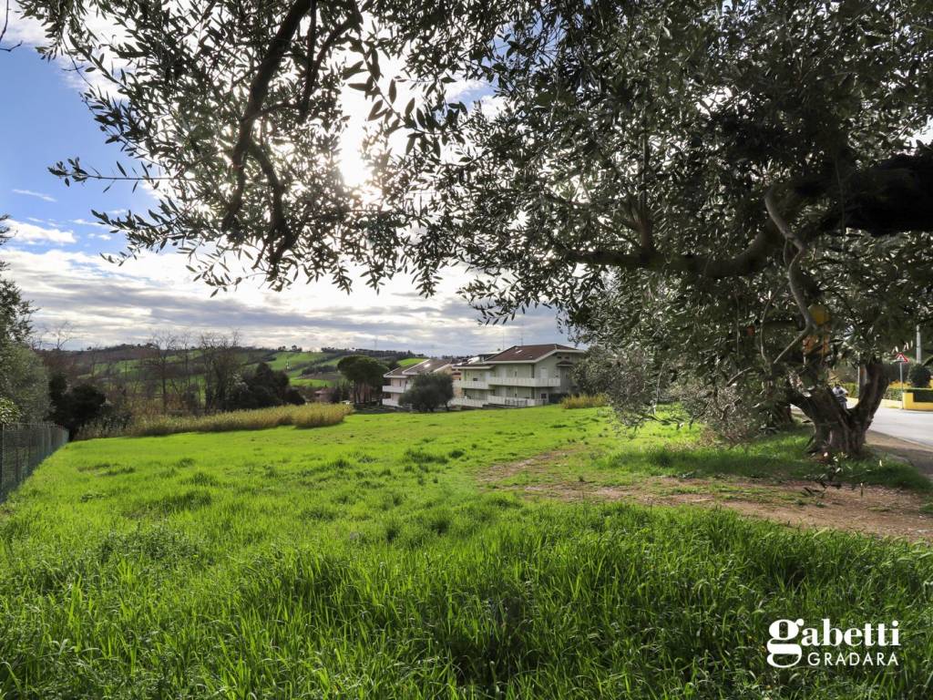 Terreno a Gradara in Via Cattolica, snc - Foto 3