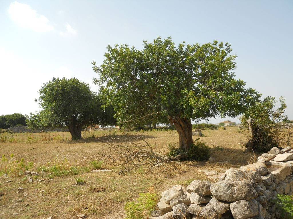 Villa a Modica in Via Crocevia, 80 - Foto 5