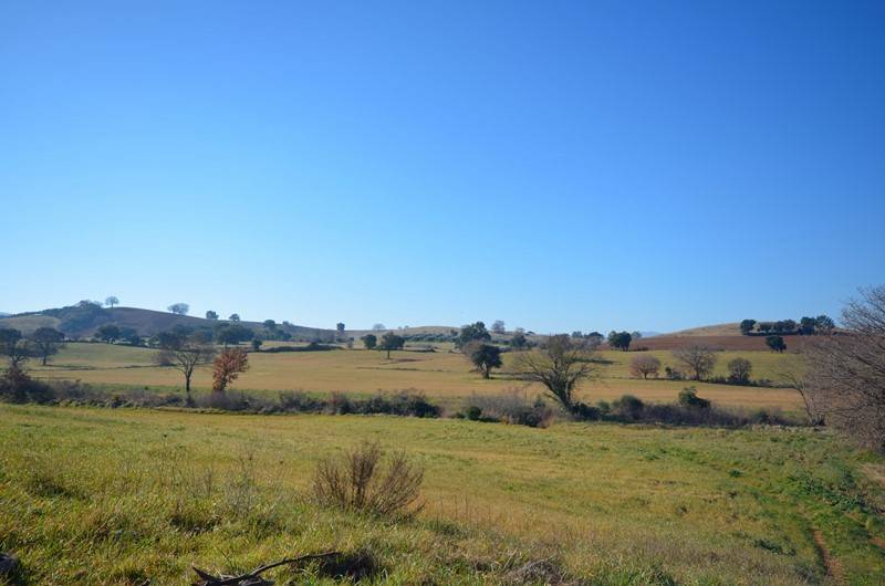 Terreno a Grosseto in Strada delle Casette di Mota - Foto 2
