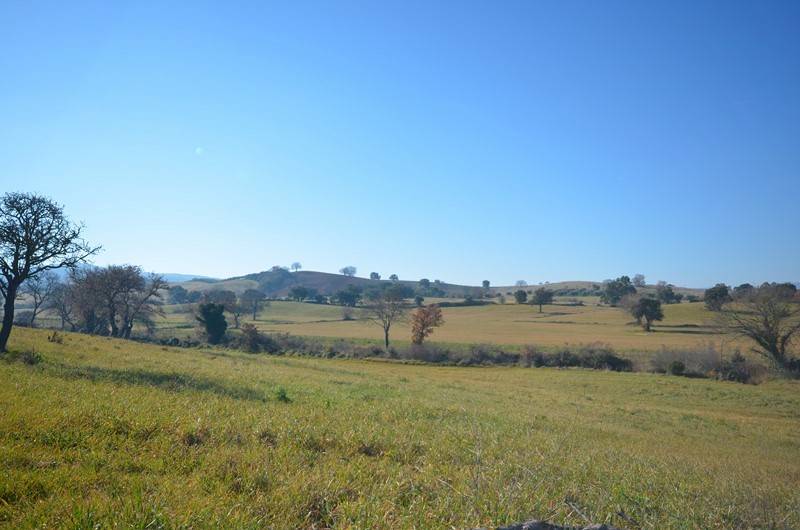 Terreno a Grosseto in Strada delle Casette di Mota - Foto 3