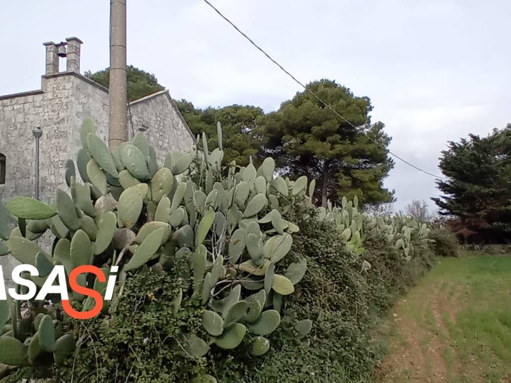 Terreno a Minervino di lecce in Strada Comunale Santa Croce - Foto 4