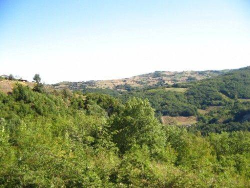 Rustico / casale a Bettola - Foto 2