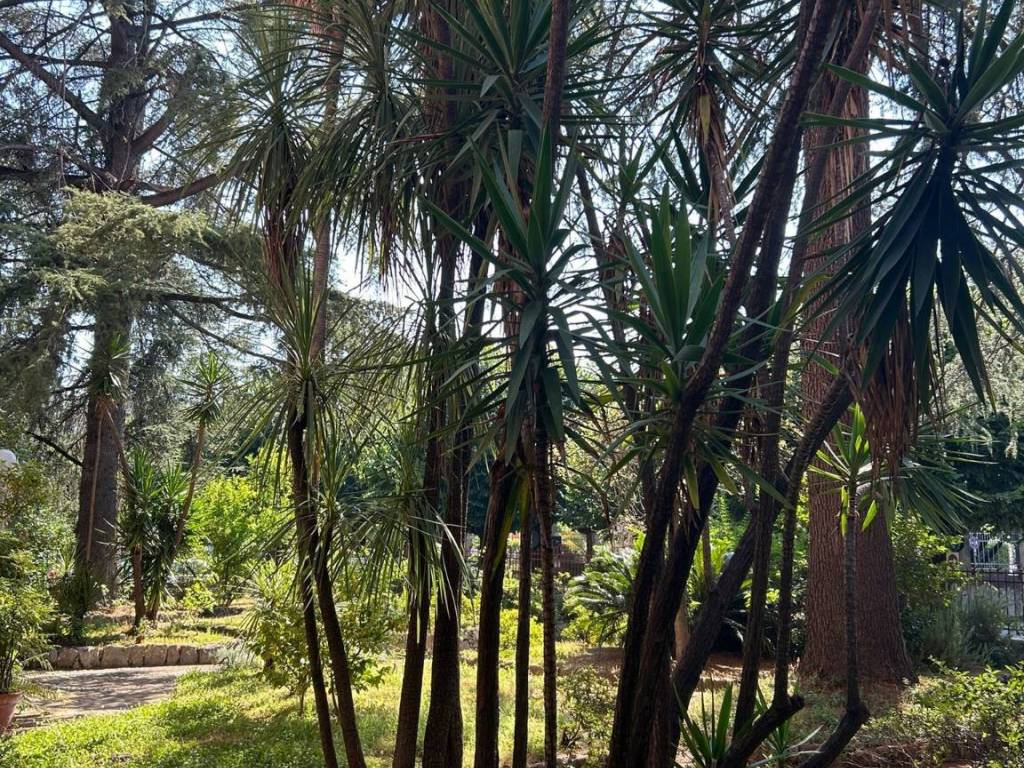 Appartamento a Sarzana - Foto 3