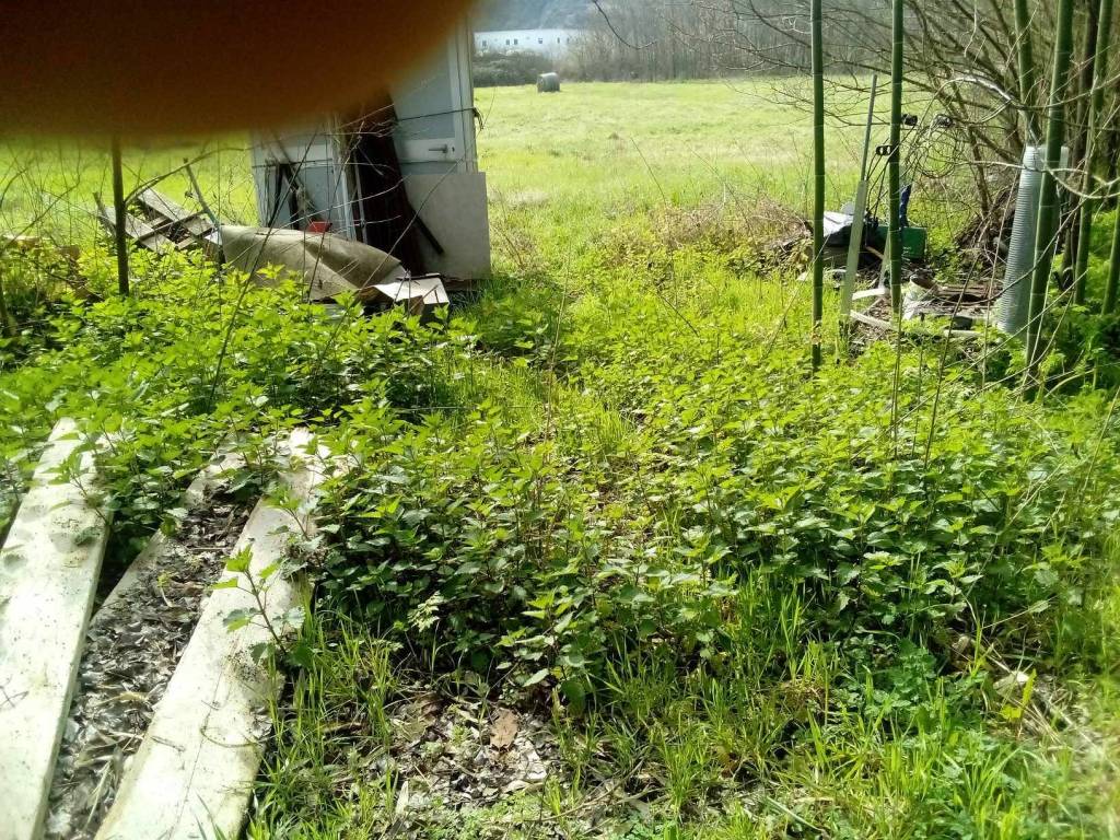 Rustico / casale a Ceccano in Via Mulino San Rocco - Foto 4