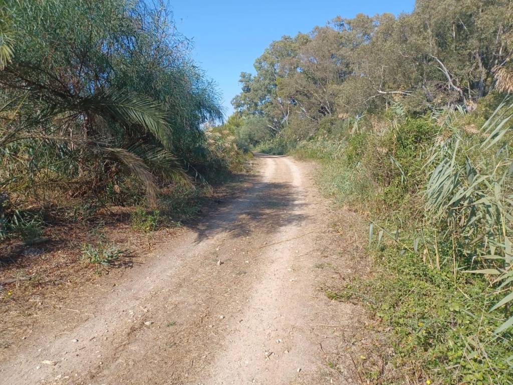 Terreno a Porto cesareo - Foto 2