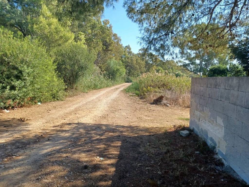 Terreno a Porto cesareo - Foto 3
