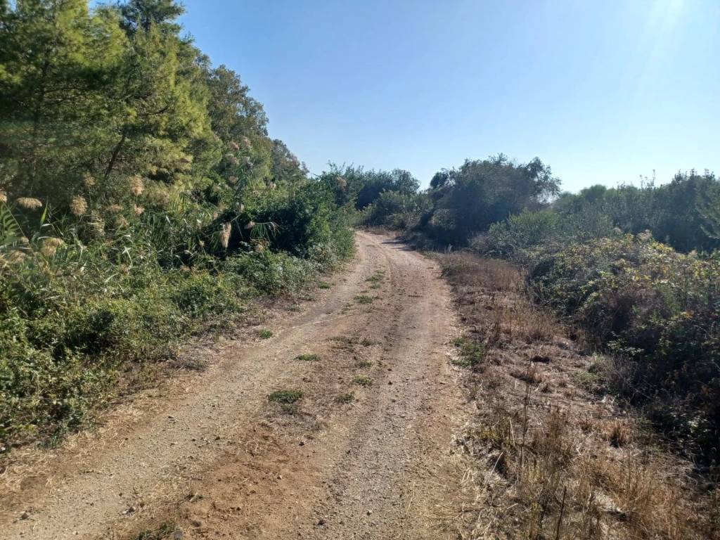 Terreno a Porto cesareo - Foto 4